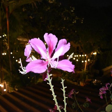 Thongtara House Boutique Srinakarin Ξενοδοχείο Μπανγκόκ Εξωτερικό φωτογραφία